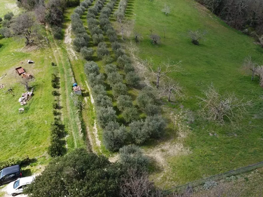 Immagine 4 di Rustico / casale in vendita  a Colle Di Val D'elsa