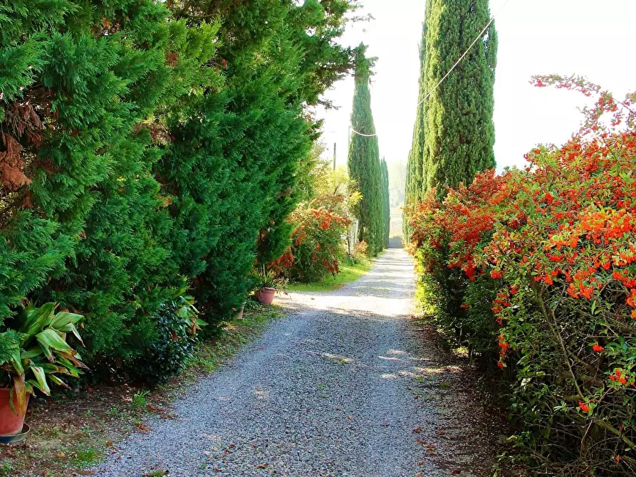 Immagine 33 di Rustico / casale in vendita  a Barberino Tavarnelle