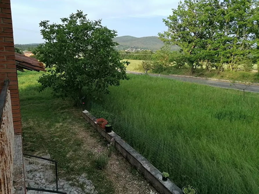 Immagine 11 di Casa indipendente in vendita  a Casole D'elsa