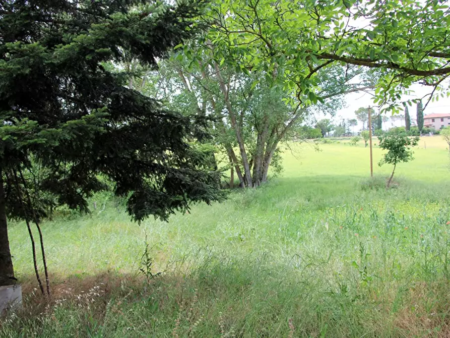 Immagine 9 di Casa indipendente in vendita  a Casole D'elsa