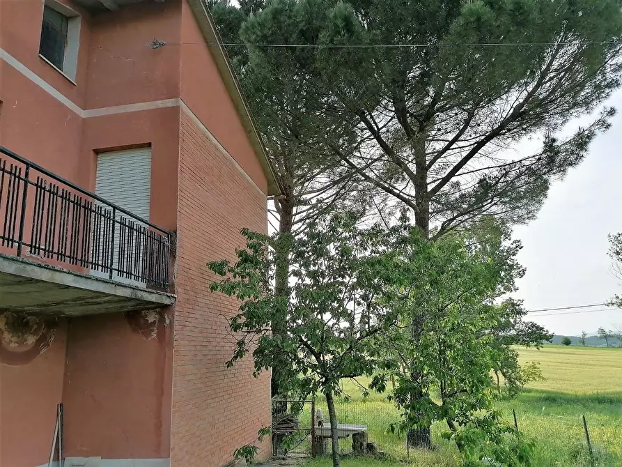 Immagine 6 di Casa indipendente in vendita  a Casole D'elsa