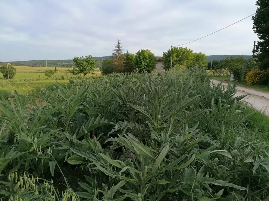Immagine 14 di Casa indipendente in vendita  a Casole D'elsa