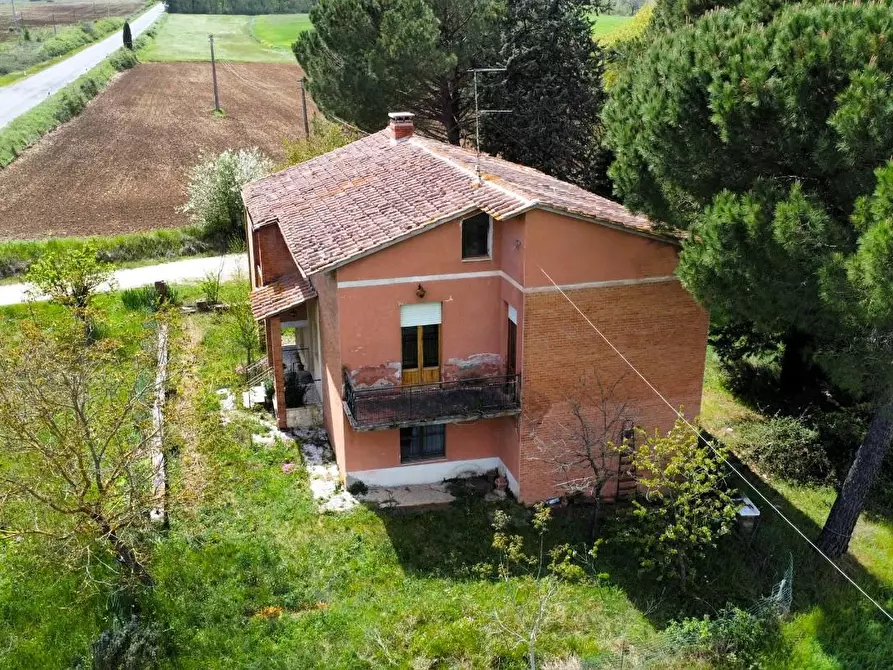 Immagine 4 di Casa indipendente in vendita  a Casole D'elsa