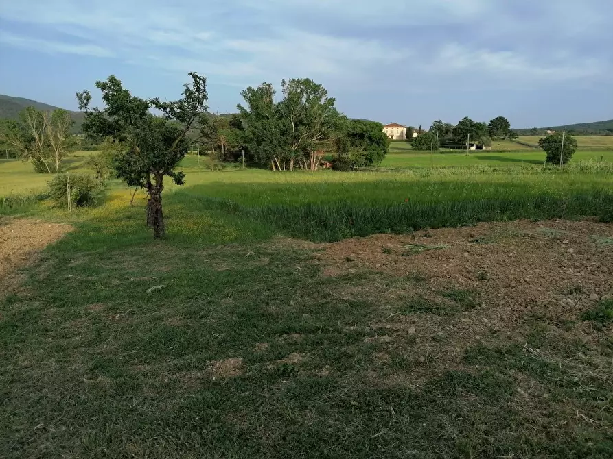 Immagine 12 di Casa indipendente in vendita  a Casole D'elsa