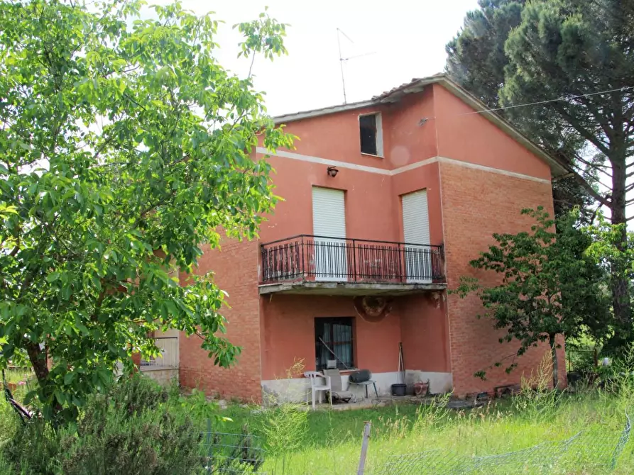 Immagine 3 di Casa indipendente in vendita  a Casole D'elsa