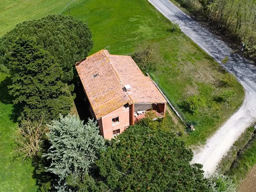 Immagine 5 di Casa indipendente in vendita  a Casole D'elsa