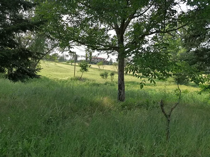 Immagine 10 di Casa indipendente in vendita  a Casole D'elsa