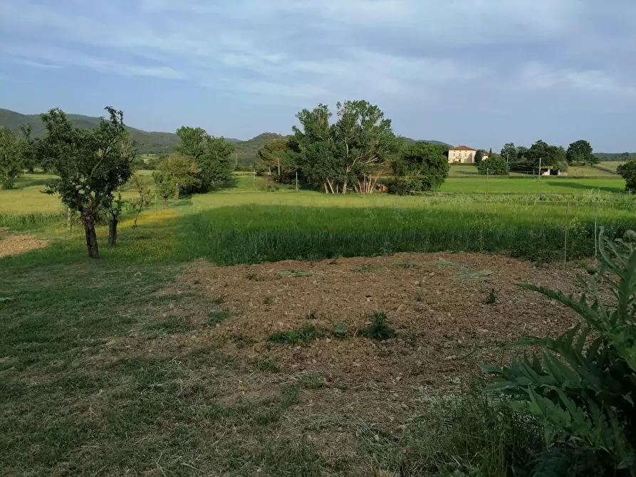 Immagine 13 di Casa indipendente in vendita  a Casole D'elsa