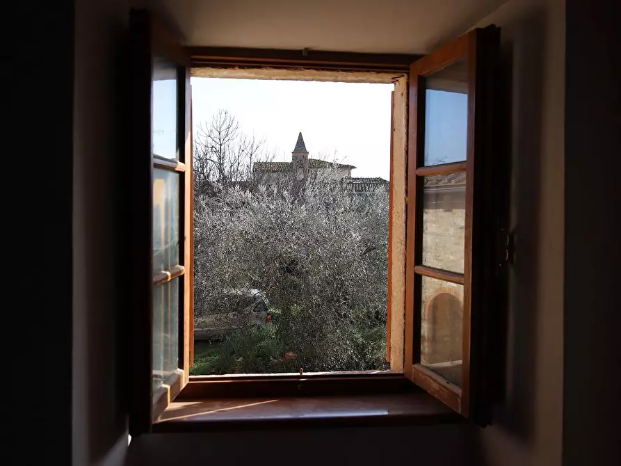 Immagine 22 di Rustico / casale in vendita  a Colle Di Val D'elsa