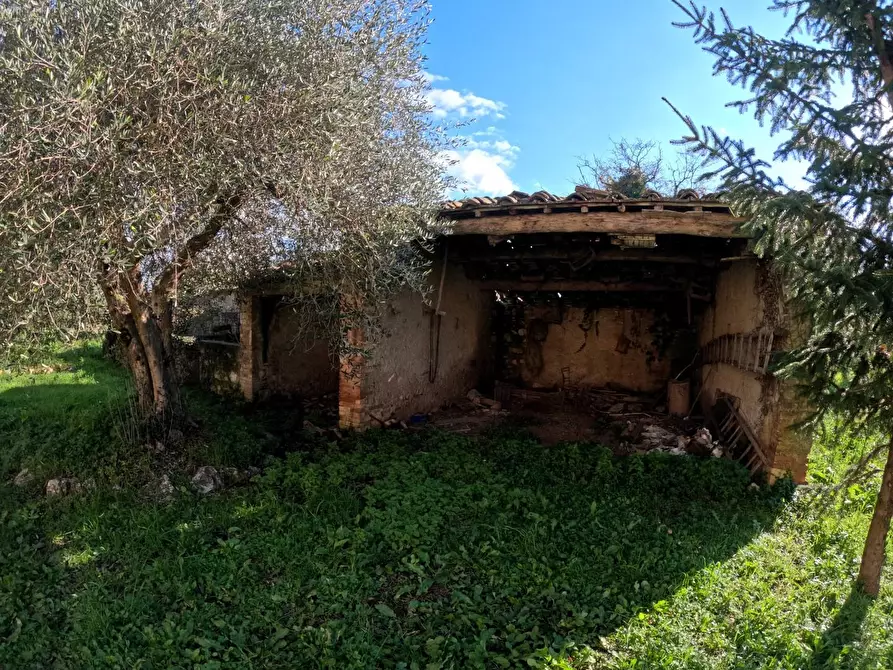 Immagine 17 di Rustico / casale in vendita  a Colle Di Val D'elsa