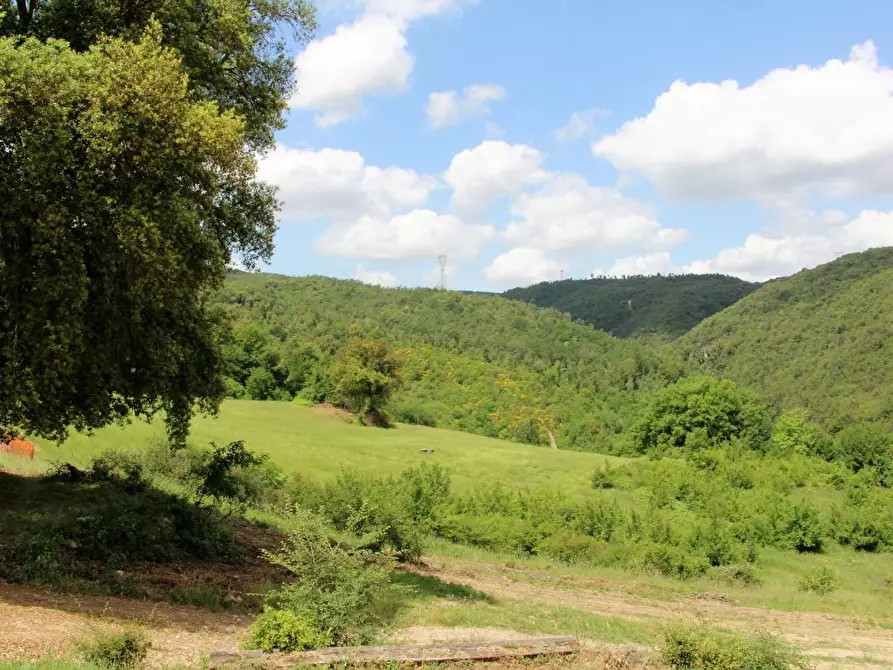 Immagine 30 di Porzione di casa in vendita  a San Gimignano