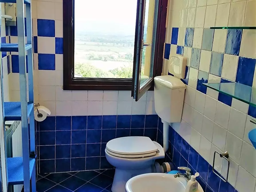 Immagine 12 di Appartamento in vendita  a Casole D'elsa