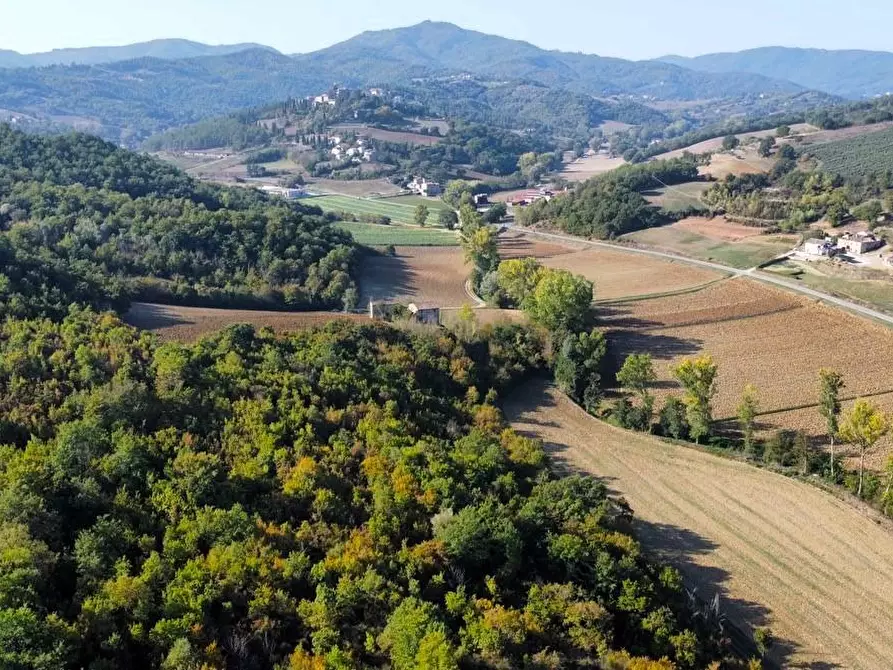 Immagine 9 di Casa colonica in vendita  a Monte Santa Maria Tiberina