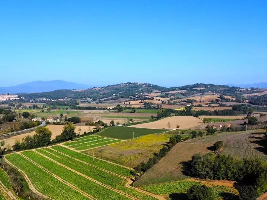 Immagine 10 di Casa colonica in vendita  a Monte Santa Maria Tiberina