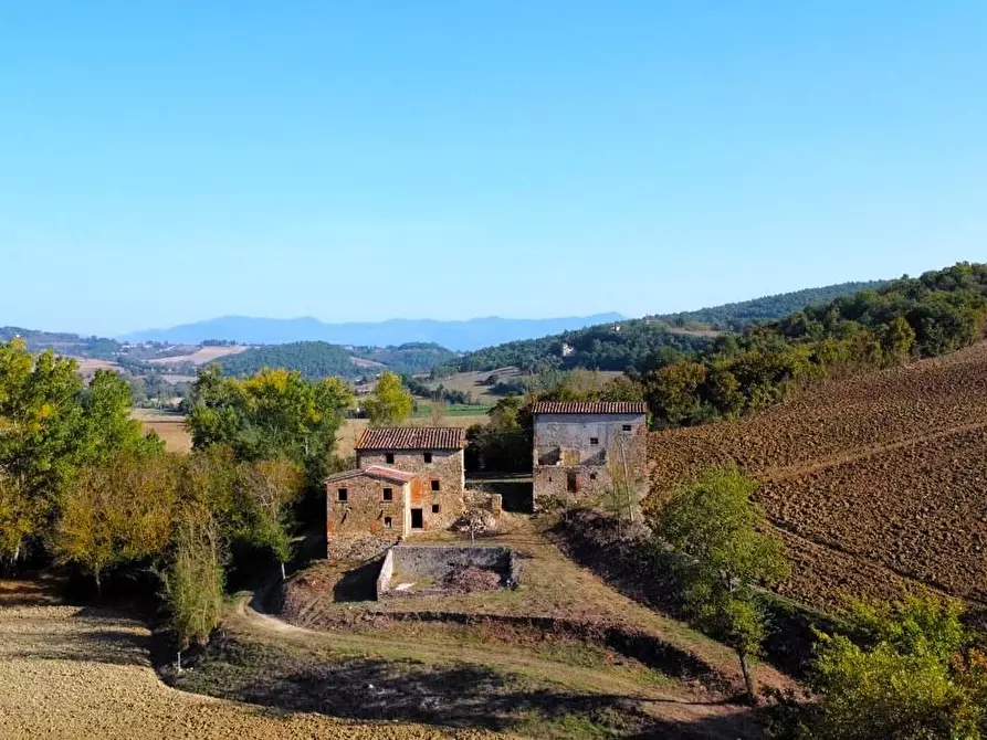 Immagine 6 di Casa colonica in vendita  a Monte Santa Maria Tiberina