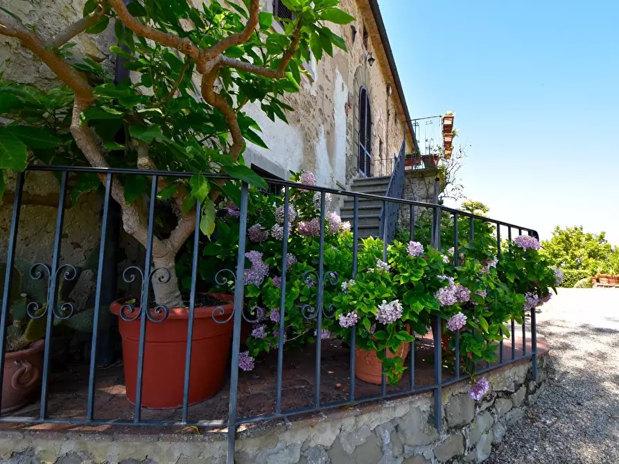 Immagine 4 di Casa colonica in vendita  a Monterchi