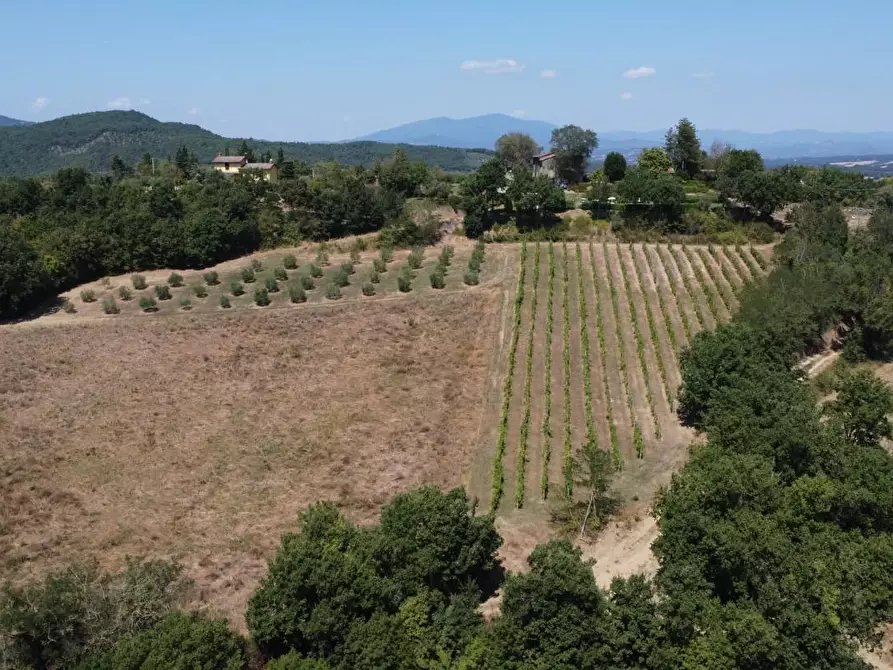 Immagine 36 di Casa colonica in vendita  a Monterchi