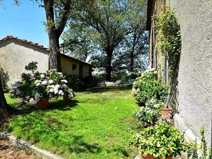 Immagine 6 di Casa colonica in vendita  a Monterchi