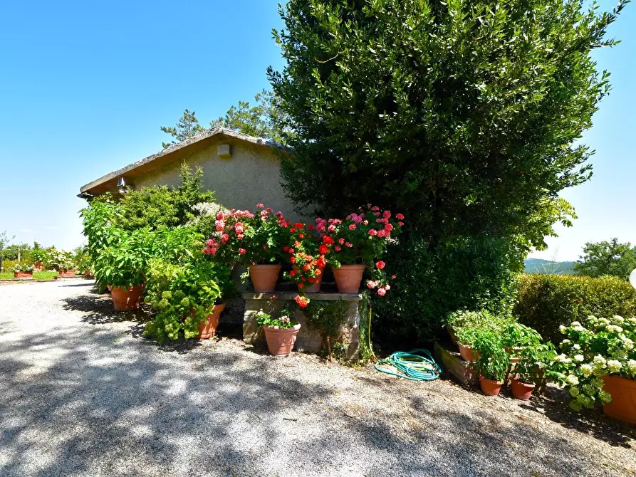 Immagine 7 di Casa colonica in vendita  a Monterchi