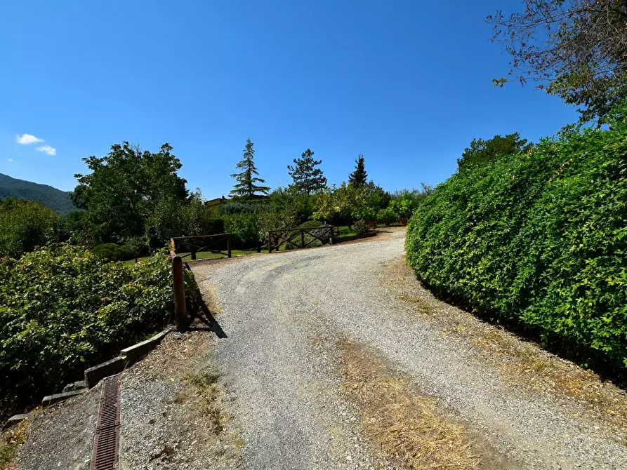 Immagine 28 di Casa colonica in vendita  a Monterchi