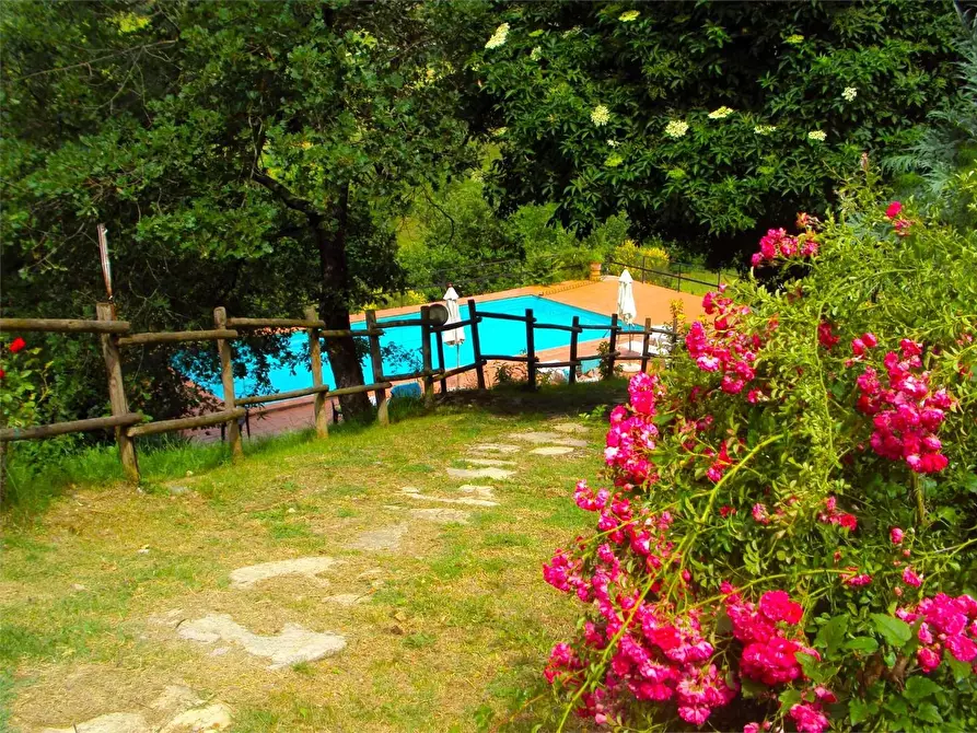 Immagine 32 di Casa colonica in vendita  a Barberino Tavarnelle