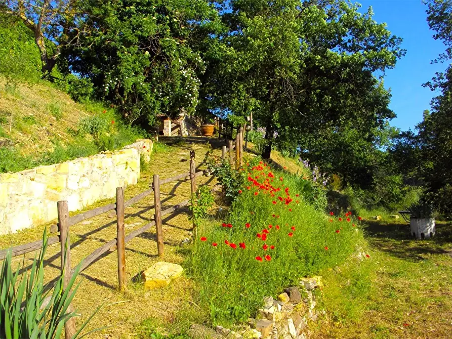 Immagine 34 di Casa colonica in vendita  a Barberino Tavarnelle