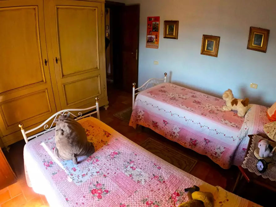 Immagine 21 di Porzione di casa in vendita  a Casole D'elsa