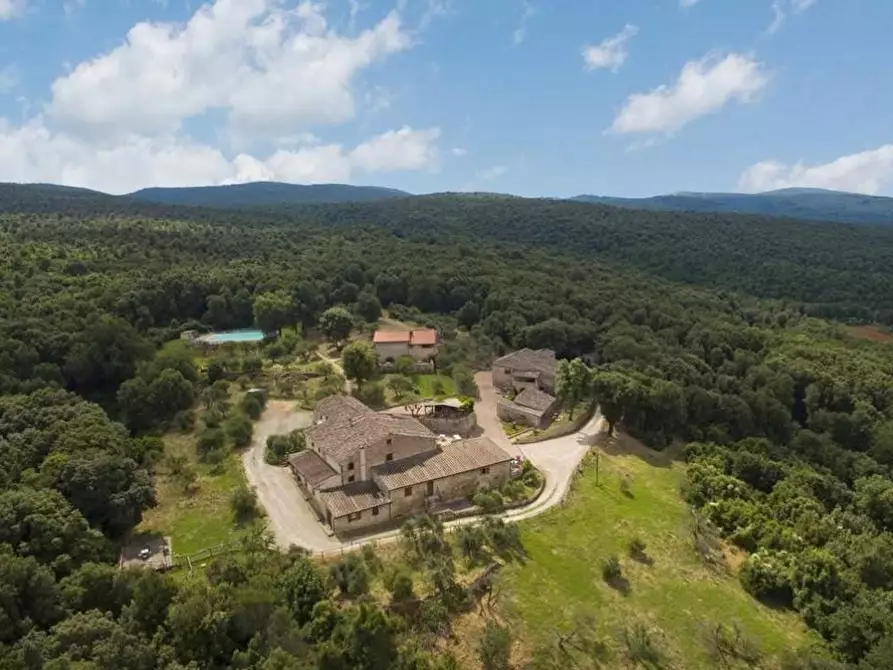 Immagine 9 di Casa colonica in vendita  a Monteriggioni