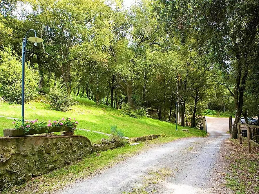 Immagine 25 di Casa colonica in vendita  a Monteriggioni