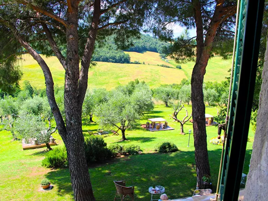 Immagine 32 di Rustico / casale in vendita  a Casole D'elsa