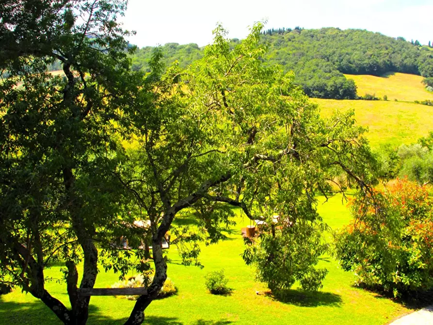 Immagine 31 di Rustico / casale in vendita  a Casole D'elsa