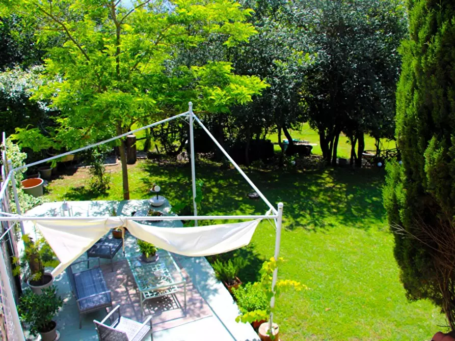 Immagine 35 di Rustico / casale in vendita  a Casole D'elsa