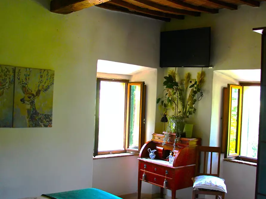 Immagine 15 di Rustico / casale in vendita  a Casole D'elsa