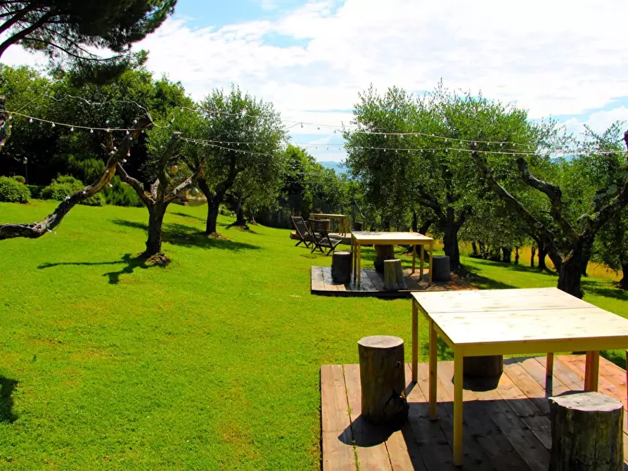 Immagine 27 di Rustico / casale in vendita  a Casole D'elsa