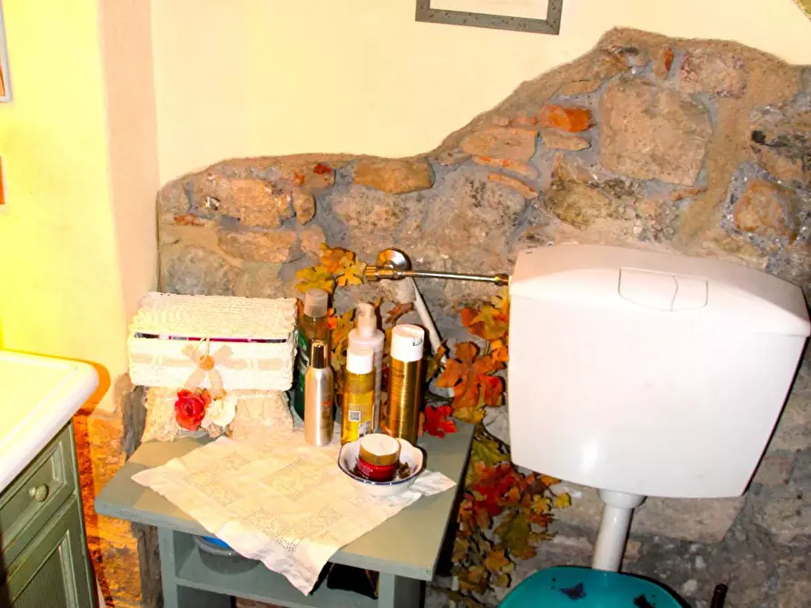 Immagine 11 di Rustico / casale in vendita  a Casole D'elsa