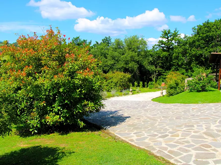 Immagine 26 di Rustico / casale in vendita  a Casole D'elsa