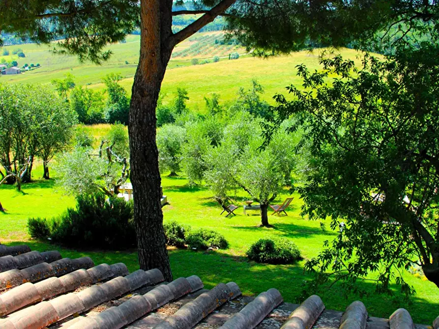 Immagine 33 di Rustico / casale in vendita  a Casole D'elsa