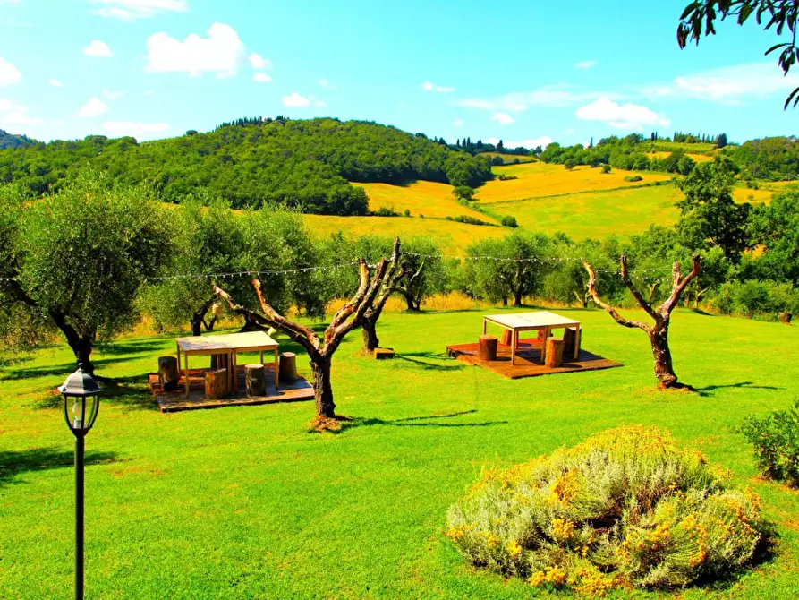 Immagine 28 di Rustico / casale in vendita  a Casole D'elsa