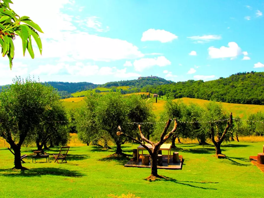 Immagine 29 di Rustico / casale in vendita  a Casole D'elsa