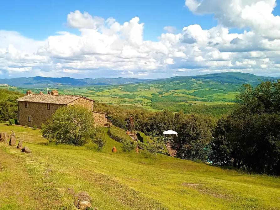 Immagine 4 di Casa colonica in vendita  a Volterra