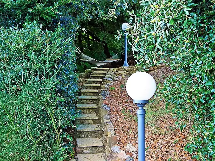 Immagine 36 di Casa colonica in vendita  a Volterra