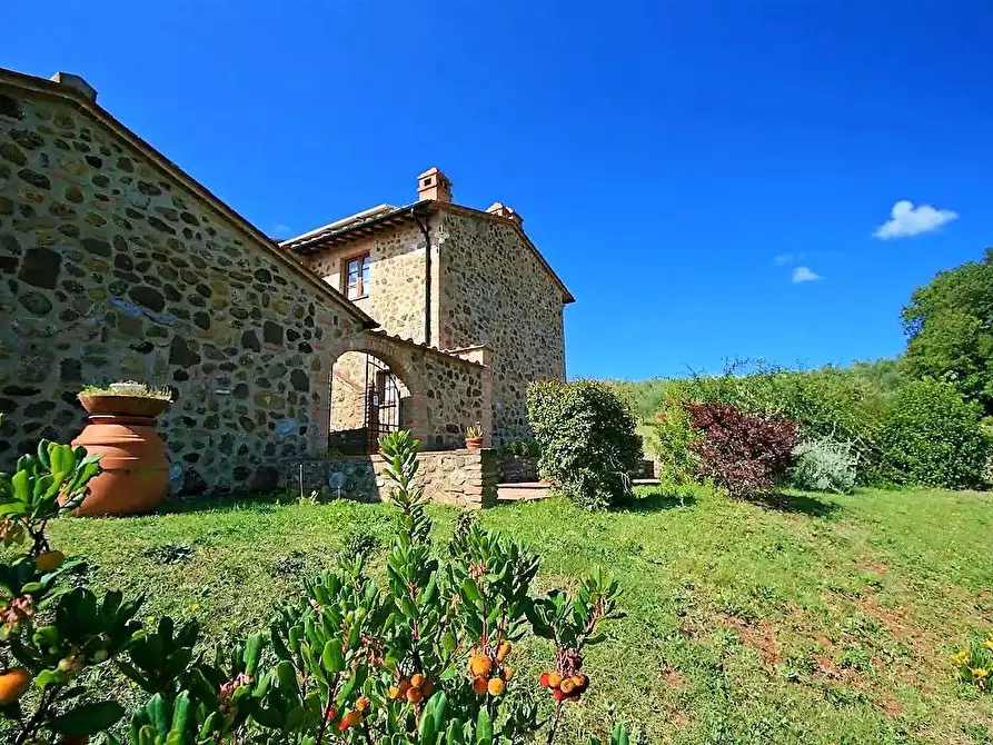 Immagine 8 di Casa colonica in vendita  a Volterra