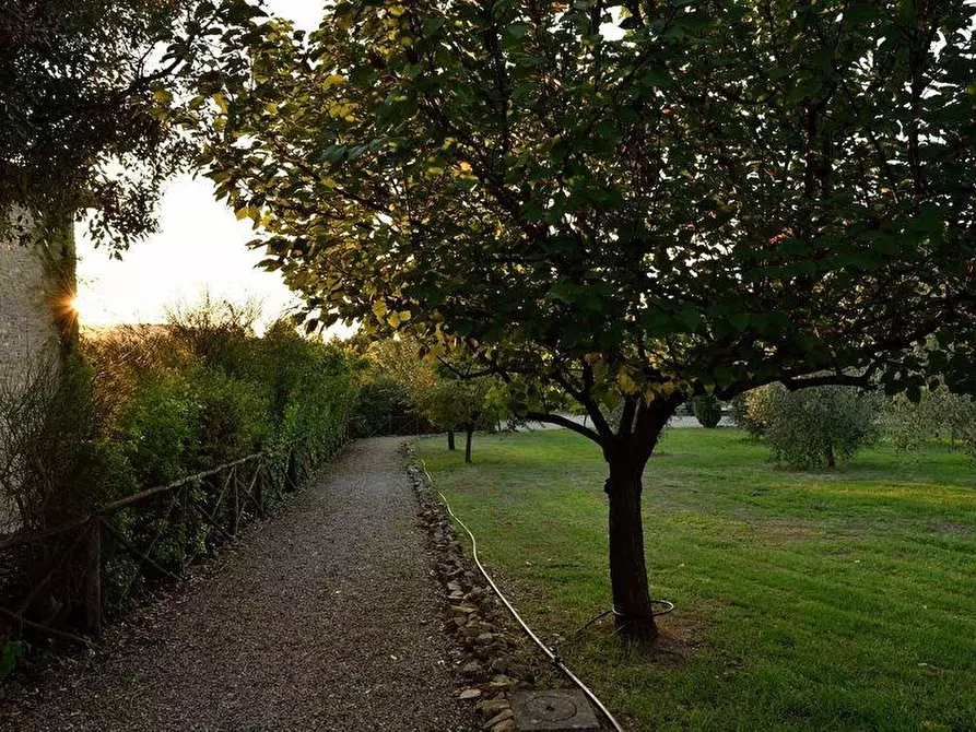 Immagine 24 di Casa colonica in vendita  a Casole D'elsa