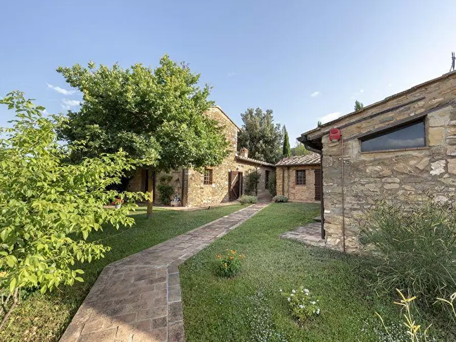 Immagine 18 di Casa colonica in vendita  a Casole D'elsa