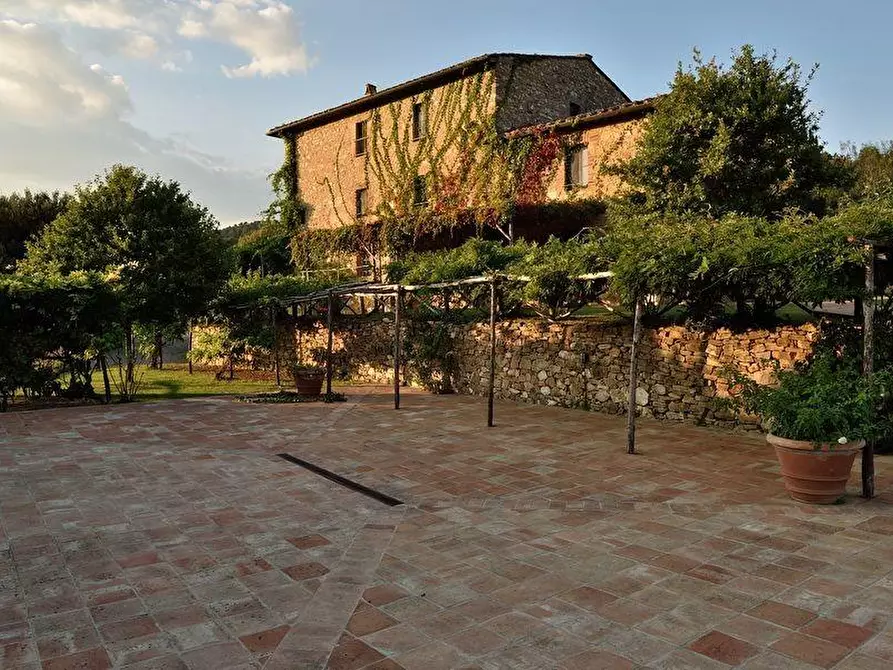 Immagine 3 di Casa colonica in vendita  a Casole D'elsa