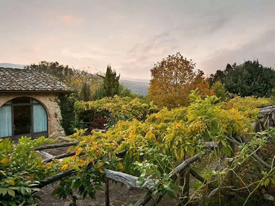 Immagine 14 di Casa colonica in vendita  a Casole D'elsa