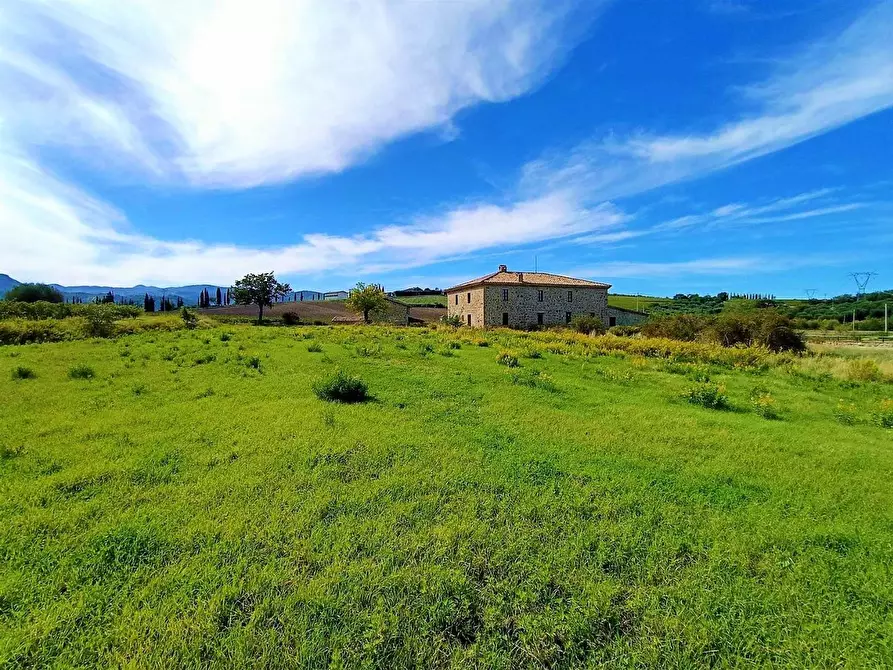 Immagine 12 di Azienda agricola in vendita  a Castel Del Piano