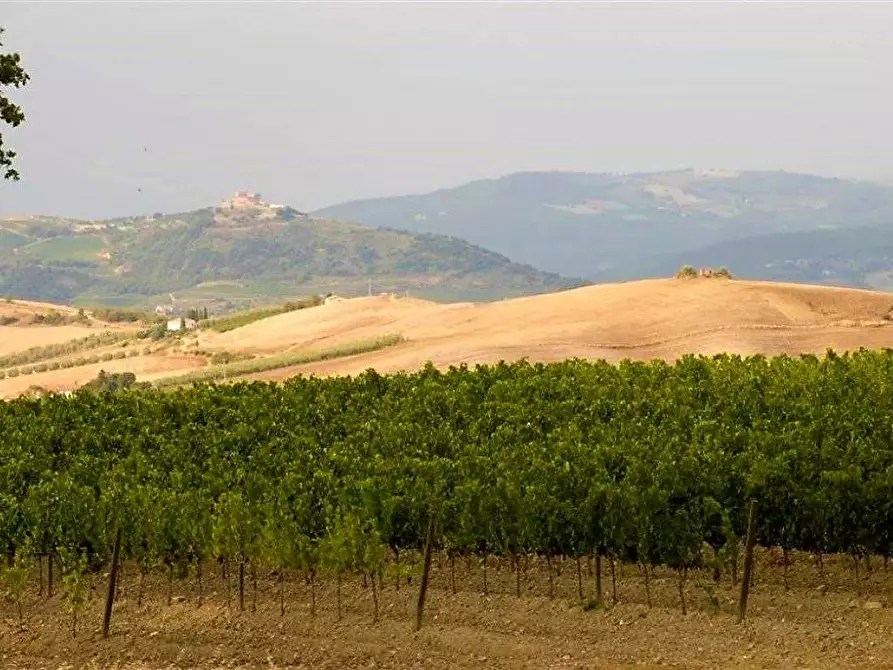 Immagine 25 di Azienda agricola in vendita  a Castel Del Piano
