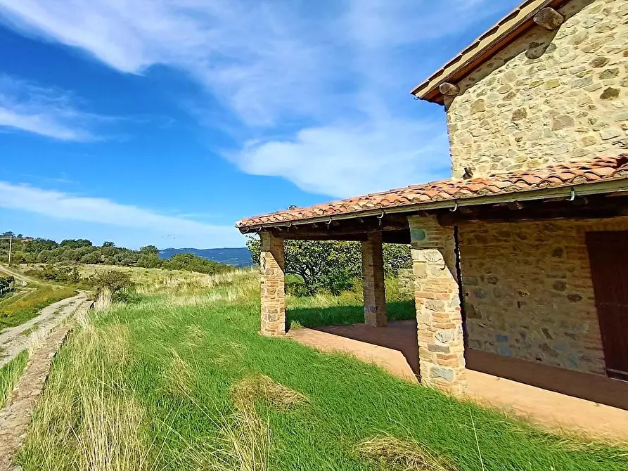 Immagine 16 di Azienda agricola in vendita  a Castel Del Piano