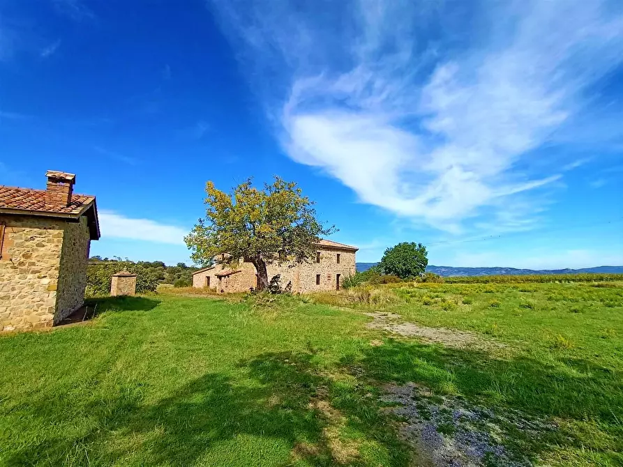 Immagine 11 di Azienda agricola in vendita  a Castel Del Piano